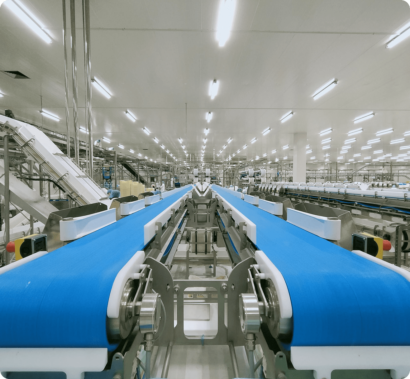 Factory conveyor belts in operation